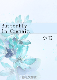 butterfly in cremains