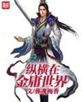 纵横在金庸世界封面