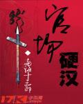 官场硬汉 官场硬汉