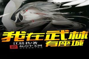 我在武林有座城封面