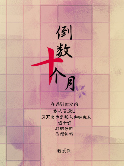 (东纶同人)倒数十个月[东纶同人文]封面