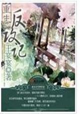 重生反攻记封面