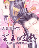 宠奴绝世魅夫人冥王的宠妃封面