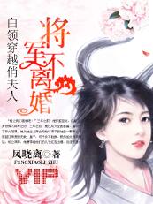 白领穿越俏夫人:将军不离婚封面