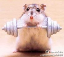 ���ľ�������