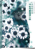 飞扬.A卷 飞扬.A卷