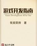 游戏开发指南 游戏开发指南